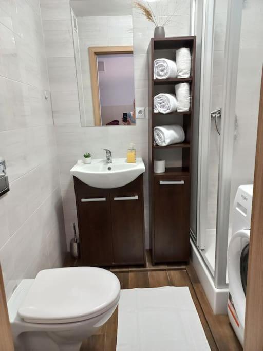 Kawalerka W Centrum Apartament Wadowice